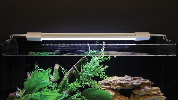 Durée d'éclairage maximum de l'aquarium